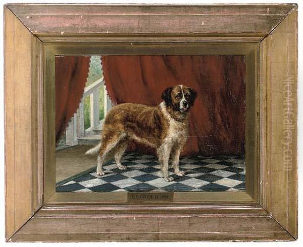 A St. Bernard, George Ii, In An Interior - view 1