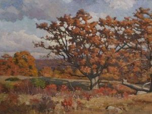 Mcsparran Hill Oaks by Frank Convers Mathewson