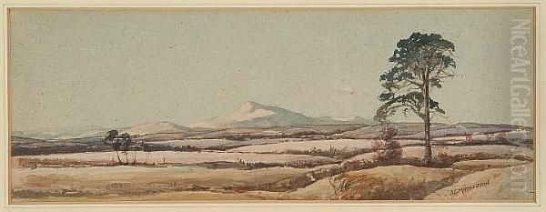 Near Auchterarder - view 1