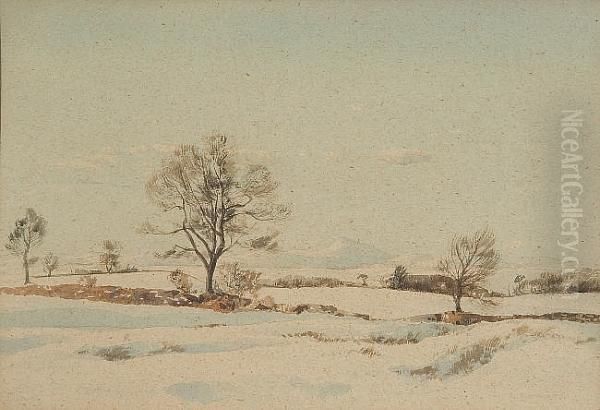 Scottish Highland Winter Landscape - view 1