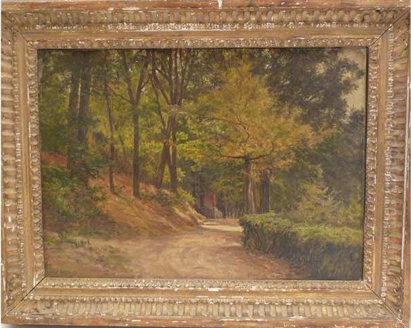 Sous-bois En Limousin - view 1
