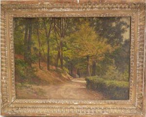 Sous-bois En Limousin