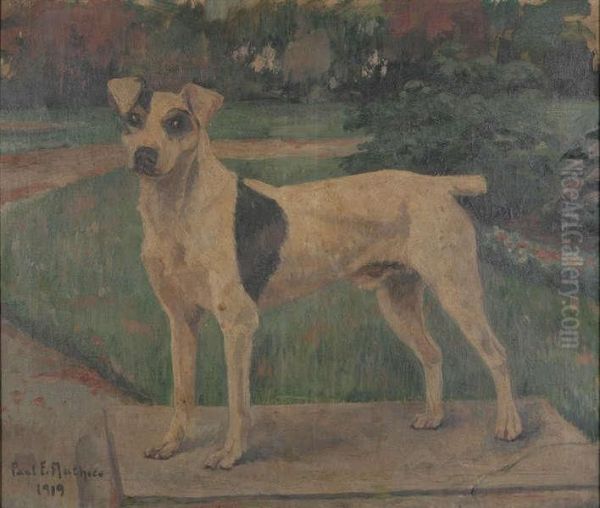 Fox Terrier In Het Park - view 1