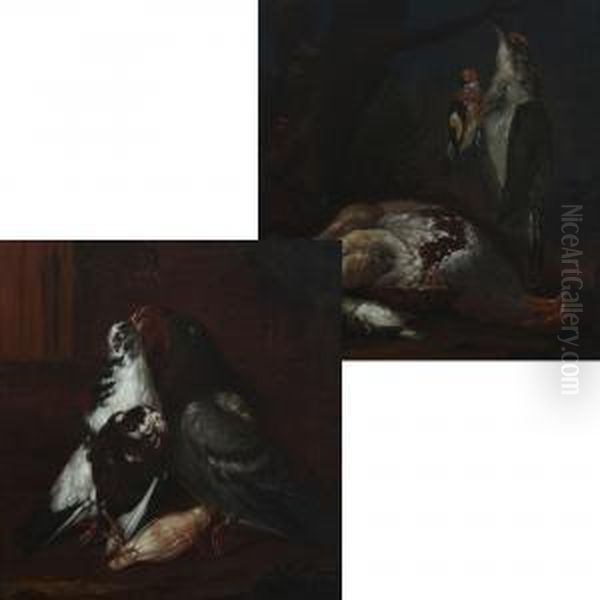 Nature Morte - view 1