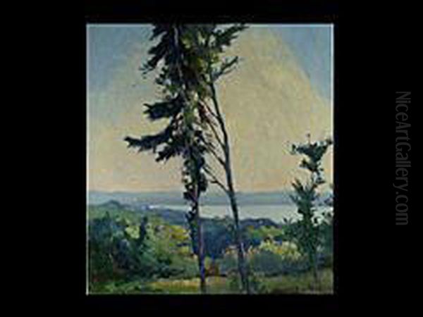 Blick Auf Einen See - view 1
