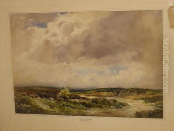 Salcombe And Kingsbridge - view 1