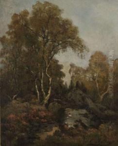 Les Rochers Dans Le Sous-bois