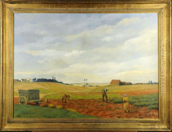 Recolte De Pomme De Terre - view 1