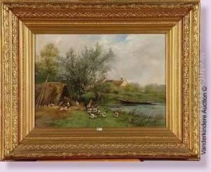 Coq Et Poules Au Bord De L'eau Coq Et Poules Au Bord De L'eau