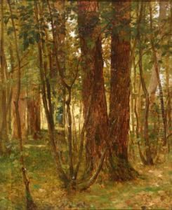 Forest Interior Forest Interior