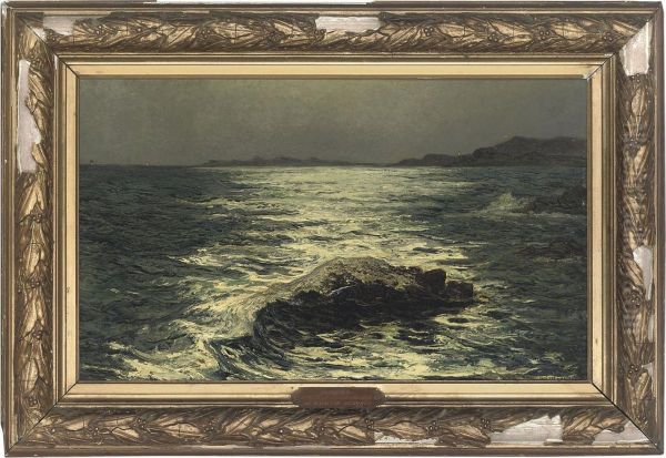 Moonlight Shimmering On The Waves - view 1