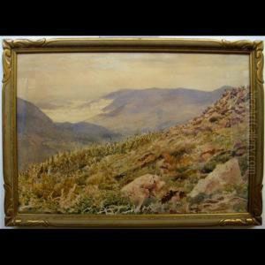 Landscape Study by Marmaduke Matthews