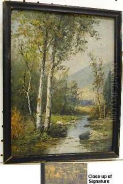 Birch Trees And Stream - view 1
