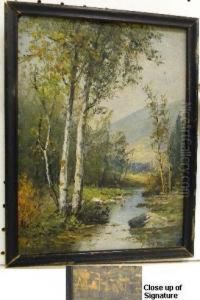 Birch Trees And Stream by Frederick Matzow