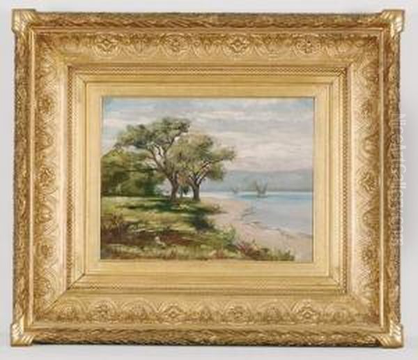 Paysage Et Bord De Lac - view 1