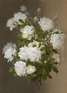 White Roses White Roses