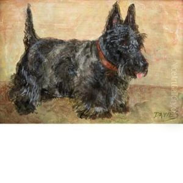 Scottie - view 1