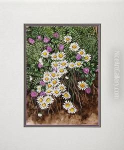 Daisies by Louise Marie Jeanne Mauduit