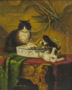 Cat Play by Albert Maurer