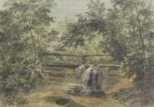 Lichte Waldpartie Mit Kleinem Wasserfall by Heinrich Maurer