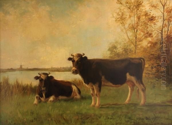 Two Cows By The Water's Edge - view 1
