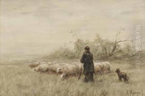 A Shepherd And His Flock - view 1