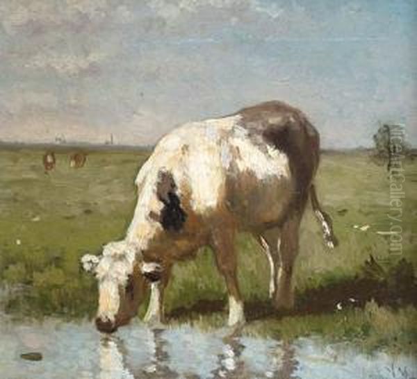 A Cow Watering At A Pool - view 1