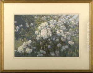 Rhododendrons by Alexander James Mavrogordato