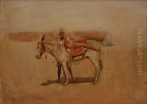 An Arab Boy Attendant With A Donkey