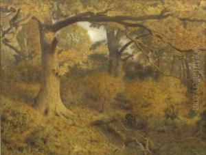 Snare Setting In A Wood by Alexander James Mavrogordato
