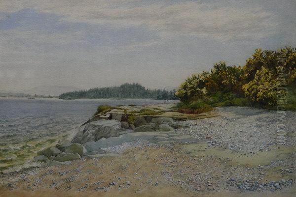 The Pebble Shore - view 1