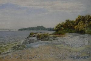 The Pebble Shore by Hamilton Maxwell