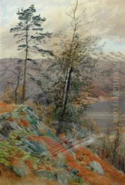 Looking Towards Loch Lomond - view 1
