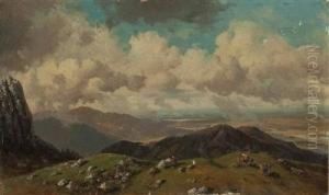Kuhe Auf Hochalm Kuhe Auf Hochalm