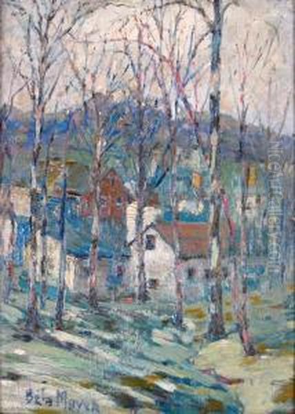 "sundown In New Jersey Hills - view 1