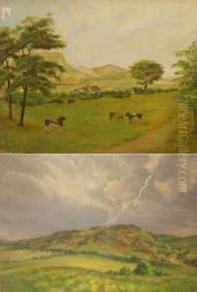 Near Bodmin - view 1