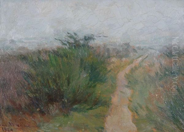Duinengezicht - view 1