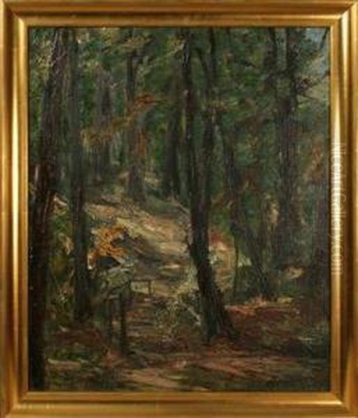 Im Wald - view 1