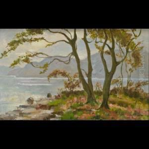 Veduta Del Lago Di Revine by Emo Mazzetti