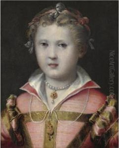 Ritratto Di Bambina In Abito Rosa by Girolamo Mazzola Bedoli