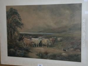 Highland Cattle On A Lane