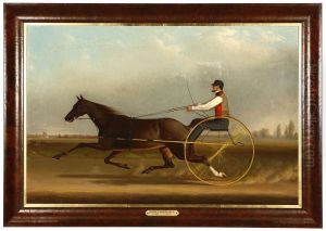 A Trotter And Sulky by James J. Mcauliffe