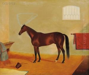 American Boy
/an Equine Portrait