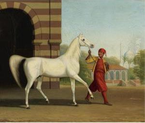 An Arabian Stallion Led By A Groom