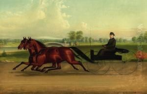Mr. Kip Driving A Pair Of Trotters
