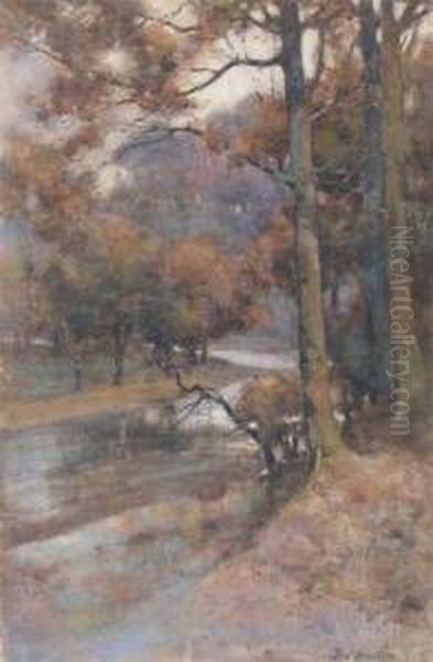 A Woodland Riverbank - view 1