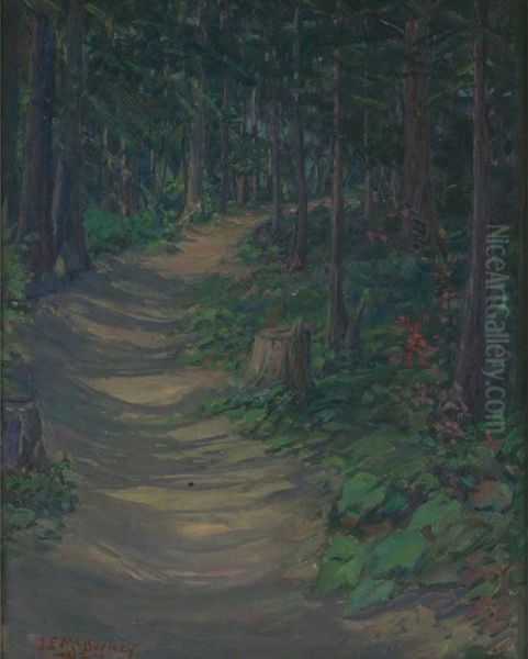 Trail To The Lodge, Kiniksu Lake - view 1