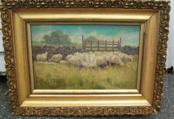 Sheep Grazing - view 1
