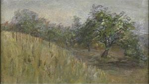 The Orchard At Arcady, The Whiteheads Estate In Montecito, Calif. by Jane Byrd Mccall Whitehead