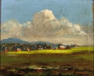 Dromana Landscape Dromana Landscape